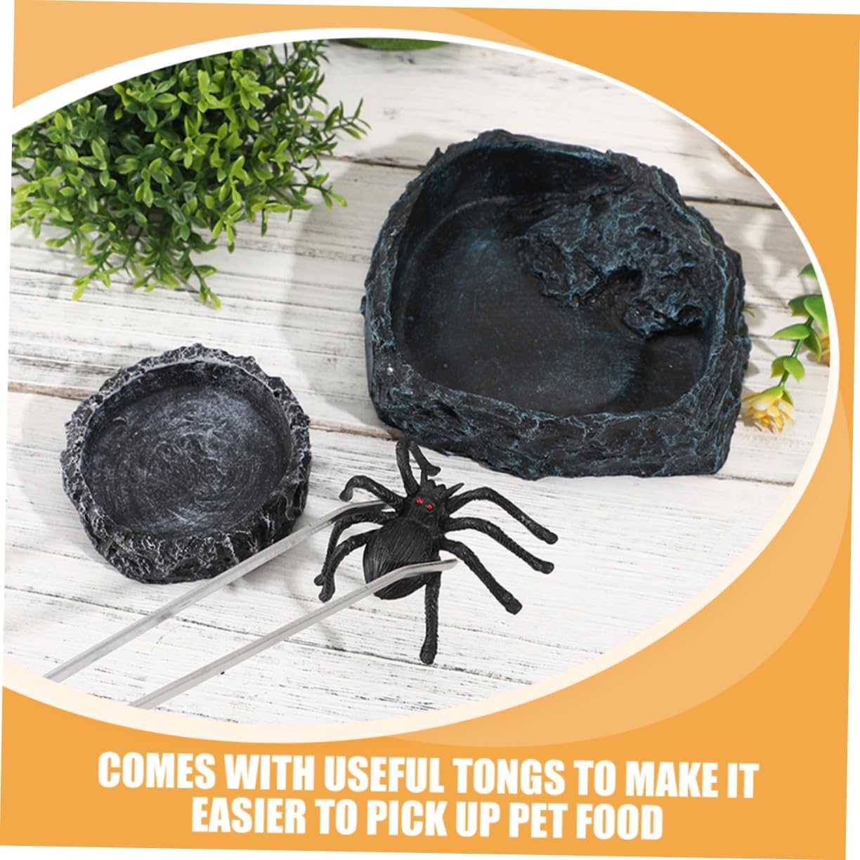 1set Bearded Dragon Reptile Feeding Dish Versatile Crab Water Bowl Food Bowl for Lizards Snakes Amphibians Includes Tweezers for Convenient Feeding Care