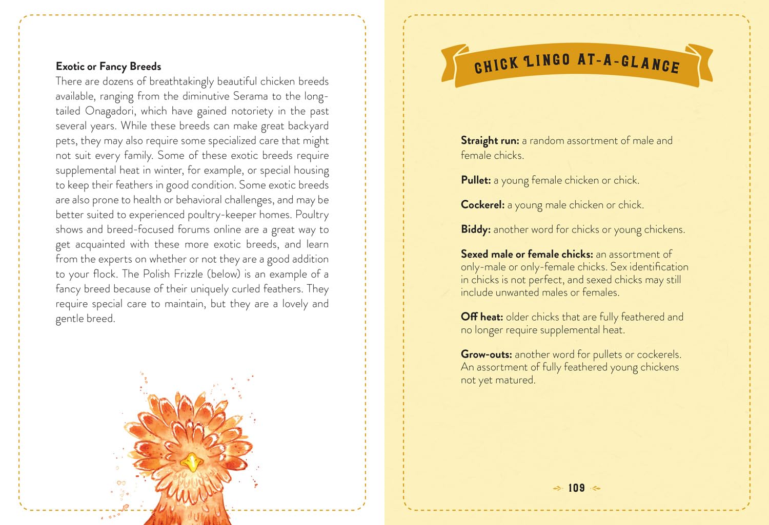 The Little Book of Chickens: An illustrated guide to the extraordinary lives of chickens