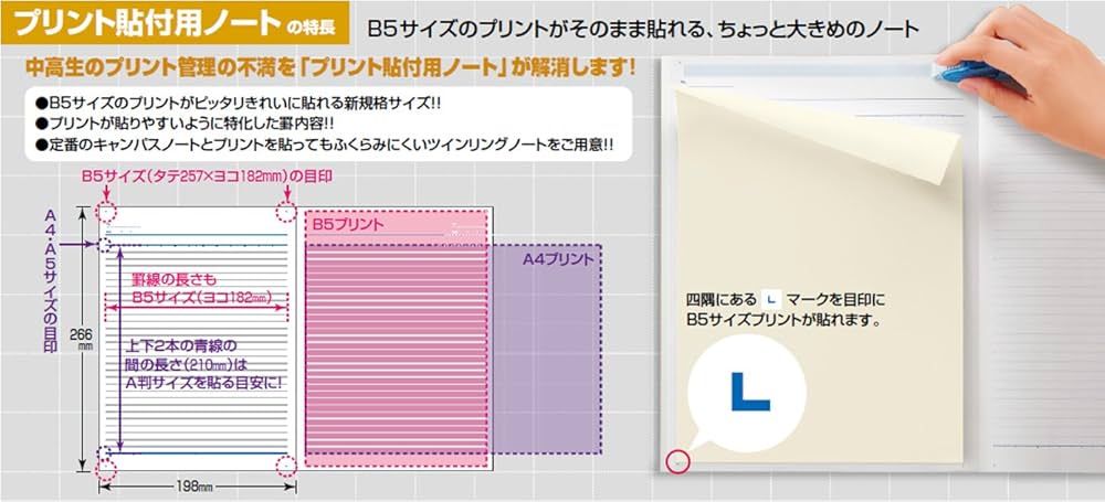 KOKUYO キャンパスノートプリント 貼付用 B罫 30枚 ノ-3HBN Amazon.co.jp: コクヨ キャンパス ツインリングノート プリント