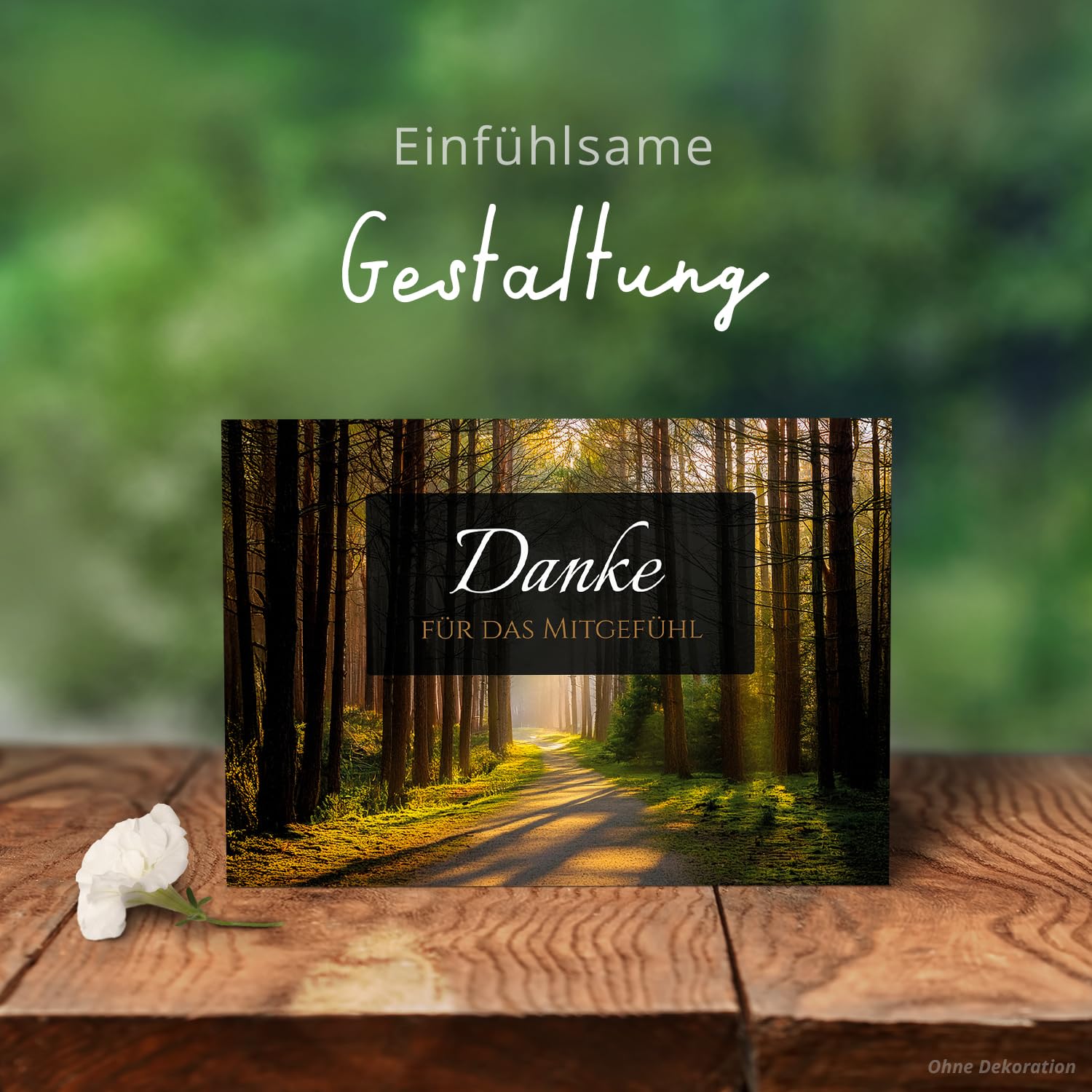 Einladungskarten Manufaktur Hamburg 40 Trauer Danksagungskarten ausfüllbar mit Umschlag - Danke Trauerkarten Postkarten Beerdigung Ausfüllen mit Text Motiv Friedwald Baum Lichtung Wald