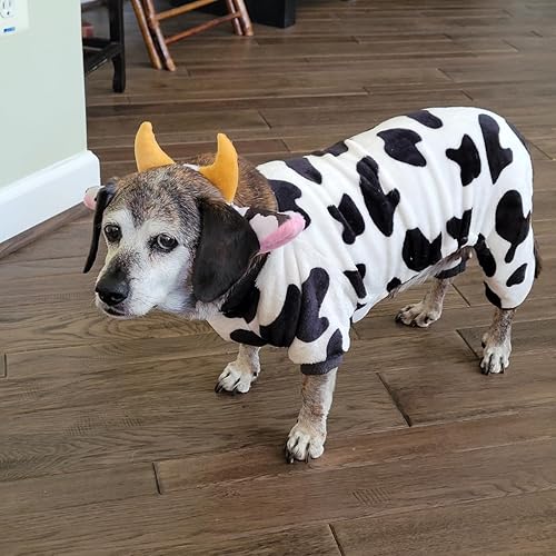 Miniatura 12 de HODRME - Diadema de orejas y cuernos de animales de felpa, para Halloween, Navidad, festival, fiesta temática de animales, cosplay, o disfraz