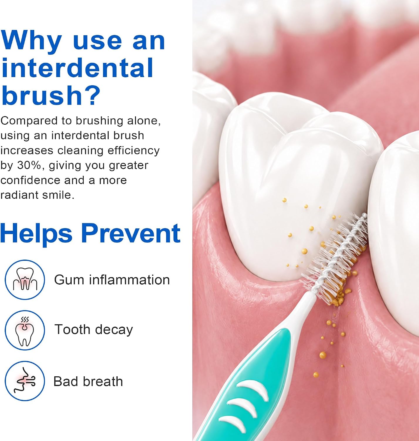 DR.CLEAN Interdental Brushes for Teeth, Dental Proxy Brushes for Tight Gaps Between Teeth, Flexible German Wire Tooth Picks for Braces, Implants & Hard-to-Reach Areas, Multiple Sizes