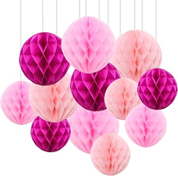 GAKA 12Pcs Pink Hanging Honeycomb Balls Decorations, Tissue Paper Pom Poms for Wedding Birthday Bridal Shower Party Decor6" 10"