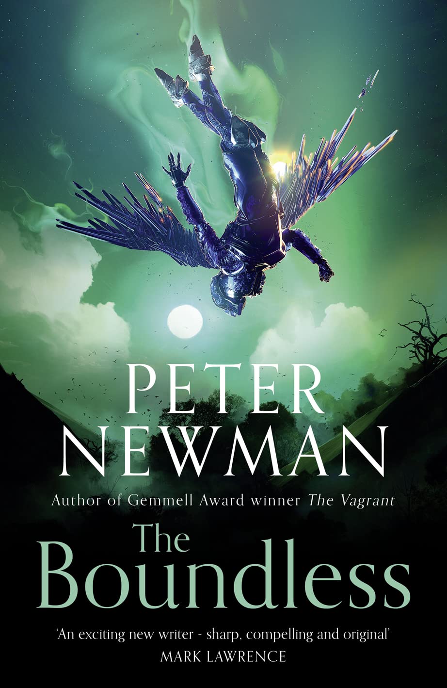 Buy The Boundless: Epic fantasy adventure from the award-winning author of THE VAGRANT: Book 3 (The Deathless Trilogy) — BookShops.in