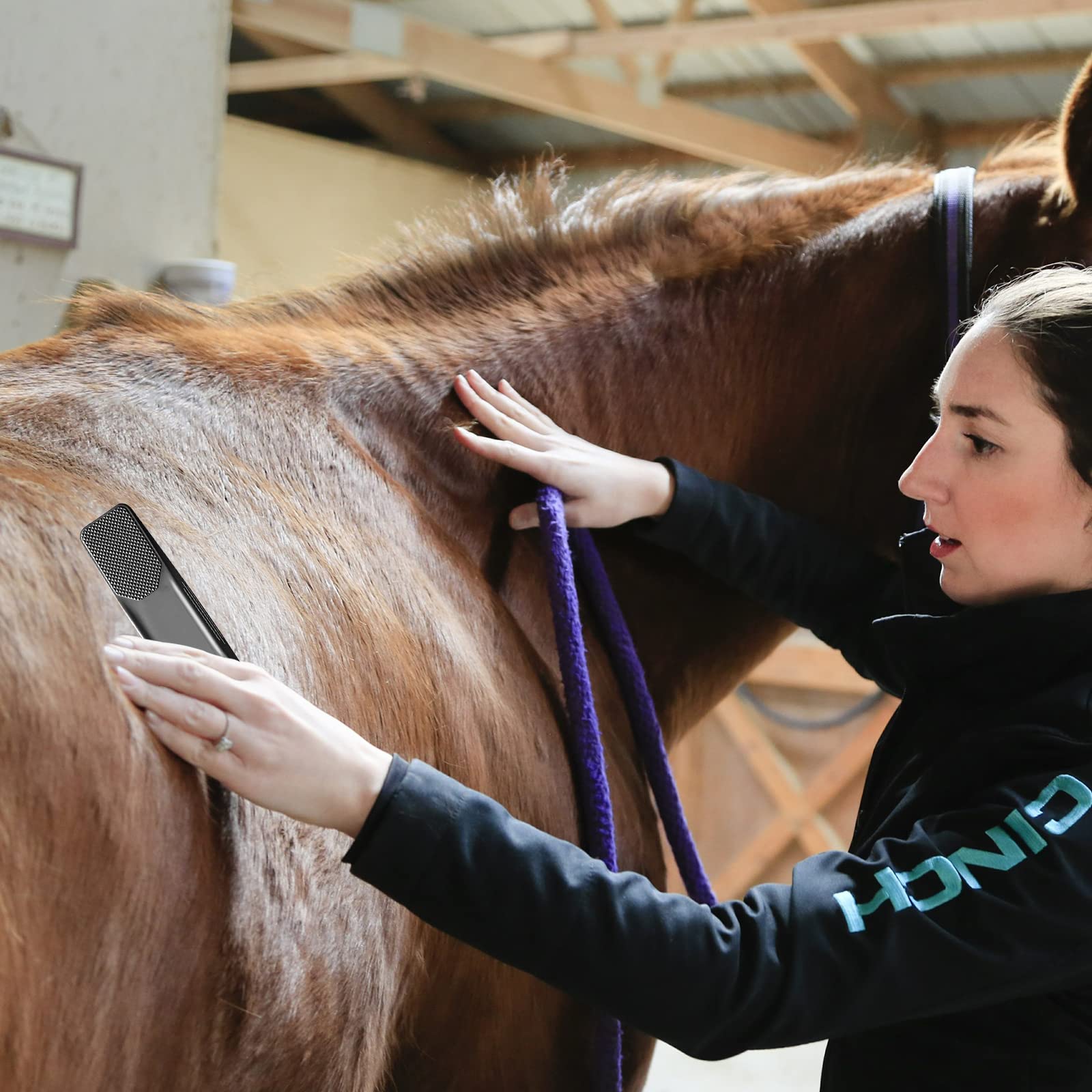 Peigne de massage Brosse de massage pour chevaux - Élimine sans douleur les poils morts, la fourrure et la saleté