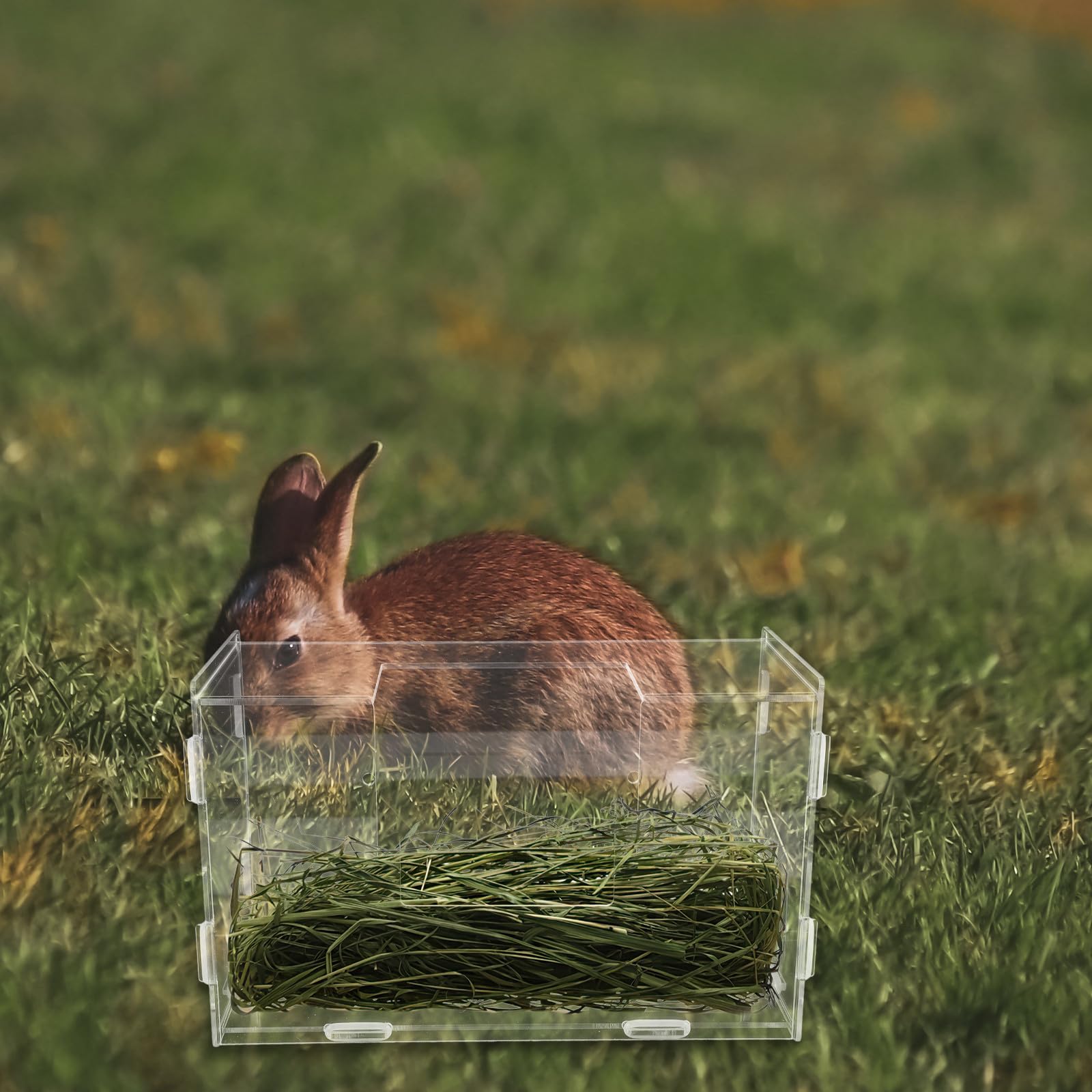 Kichvoe Rabbit Hay Feeder with Built-in Acrylic Feeding Groove Large Capacity Hay Rack for Guinea Pig Bunny Cage Small Animals Pet Supplies - image 4