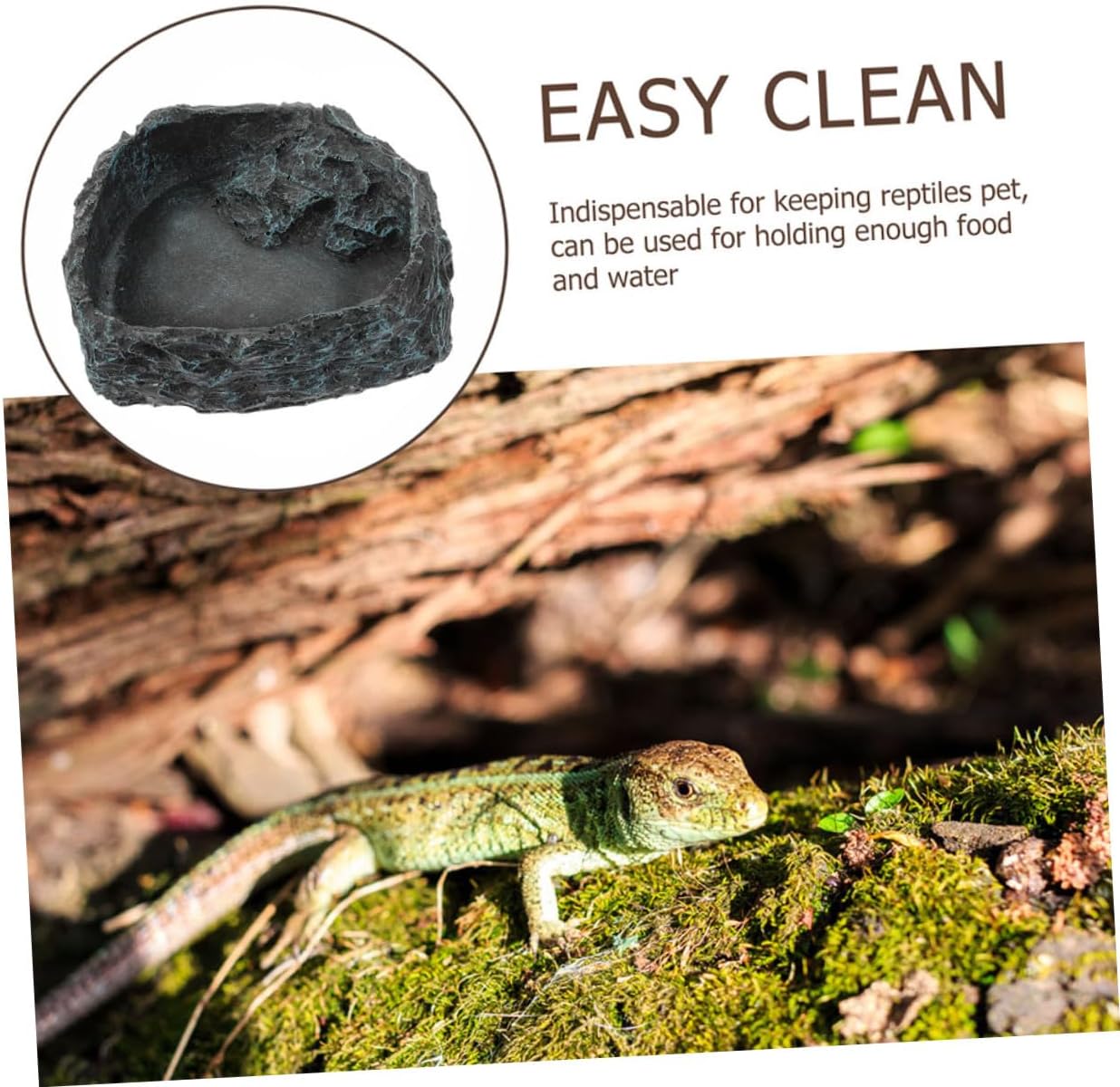 ibasenice Reptile Water Bowl and Food Dish Large Terrarium Feeding Tray Sturdy Feeding Bowl for Bearded Dragon Tortoise Gecko Pet Supplies
