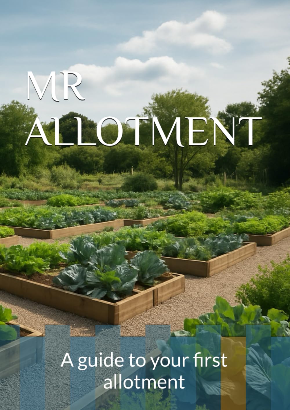 MR ALLOTMENT: A guide to your first allotment