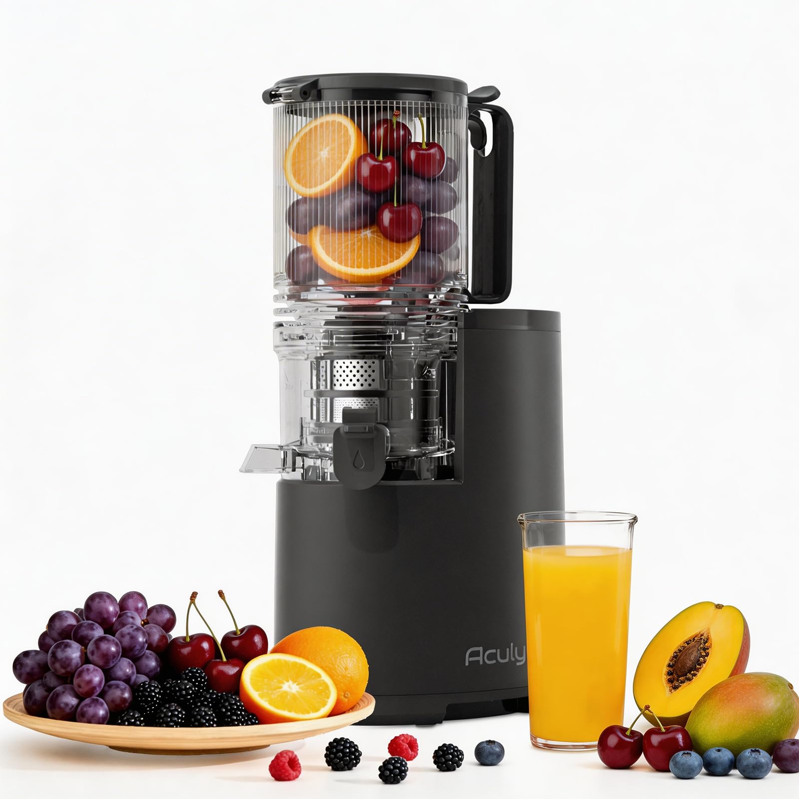Extracteur de Jus Slow Juicer 130mm 1,9L 250W Marche Avant/Arrière Noir Mat
