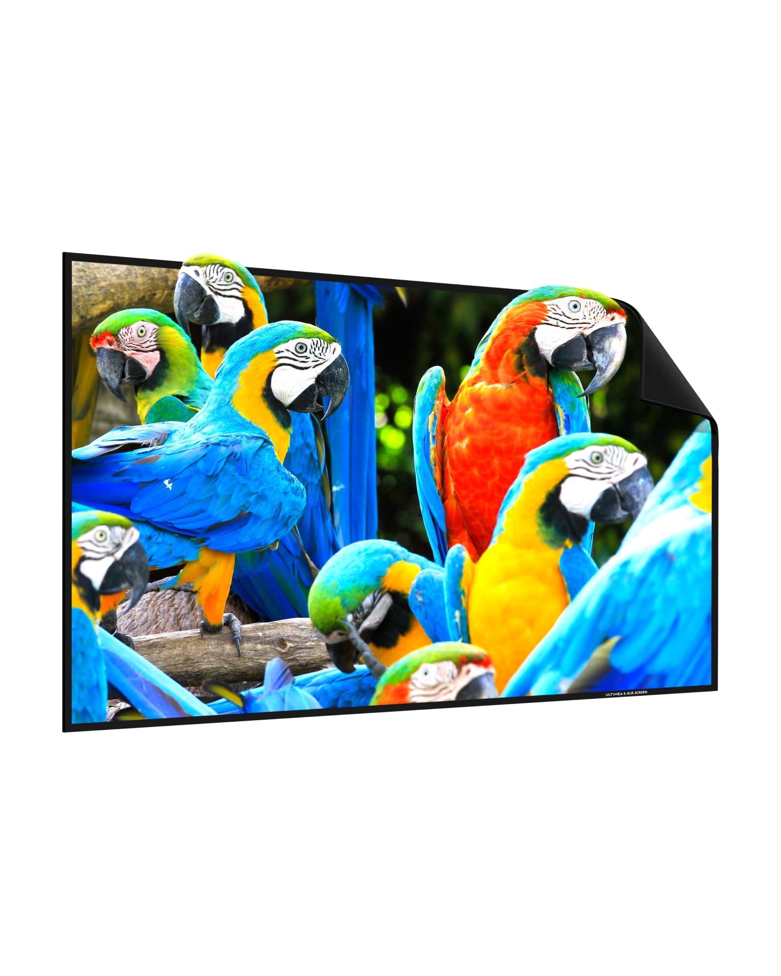 ULTIMEA E-ALR Pantalla de Proyector de 120 Pulgadas, Pantalla de Proyector ALRS 80% 2.0 Valor de Ganancia para Exterior Luz de Día 4K HD Pantalla Plateada, Pantalla de Cine Portátil, Photon 100