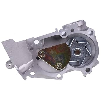 Amazon.com: Solarhome Water Pump with Gasket for Chery