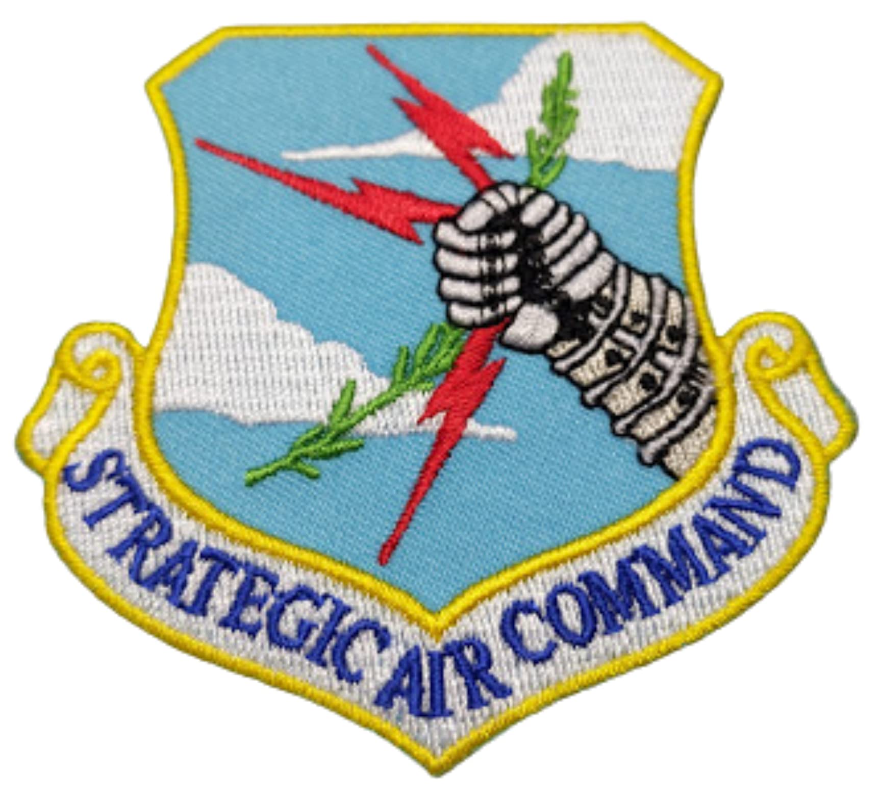 Amazon.com: United States Air Force USAF Strategic Air
