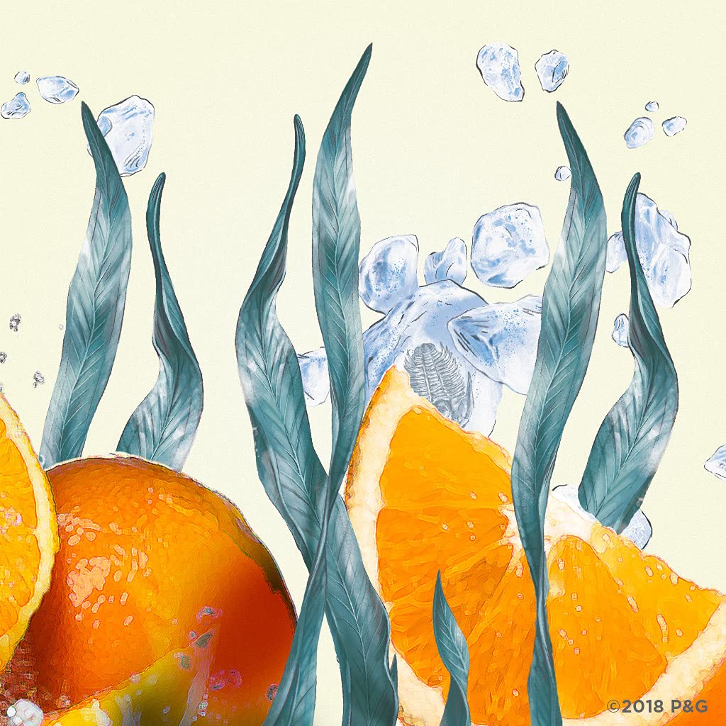 Old Spice Aluminum Free Deodorant for Men, Deep Sea With Ocean Elements Scent, Inspired by Natural Elements, 3 Ounce, Pack of 3 : Beauty & Personal Care