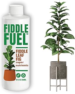 Fiddle Fuel – The Ultimate Fiddle Leaf Fig Premium Plant Fertilizer Liquid Nutrients Super Easy to Use for Fig Trees and Plants (Ficus Lyrata) – 8 oz