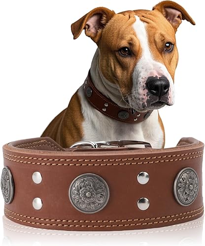 Collar de Cuero para Perros, Collar de Cuero Ancho para Perros de 5cm, Collares 