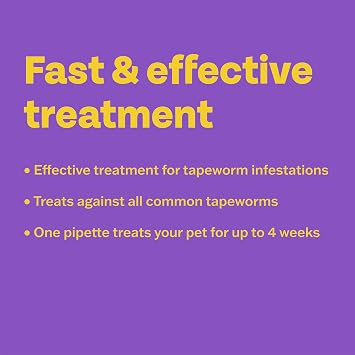 Bob Martin Clear | Spot On Wormer for Cats & Kittens | 100% Effective Tapeworm Treatment (2 Pipettes)