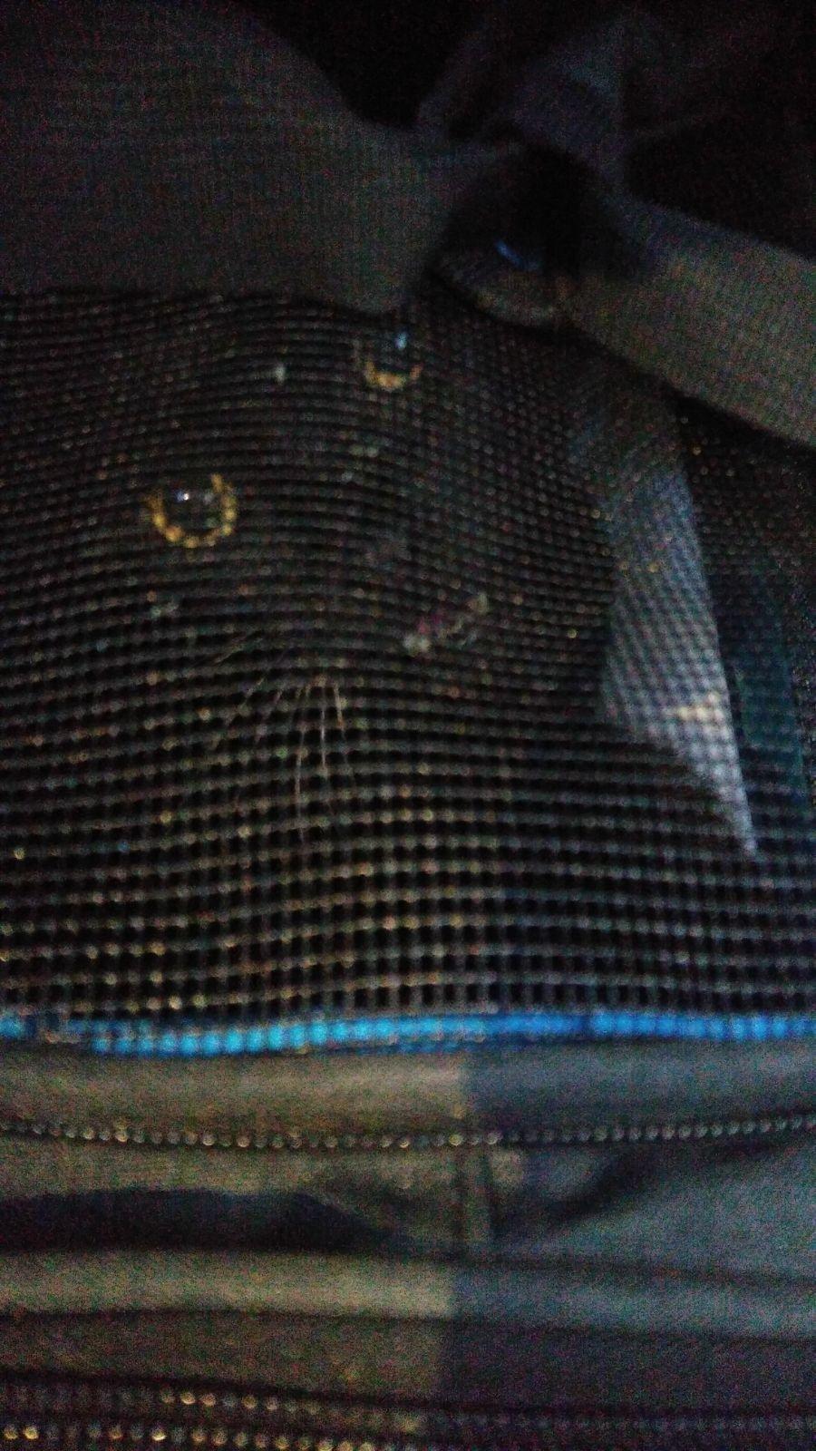 Nicely designed and well-made carrier -- but my cat escaped