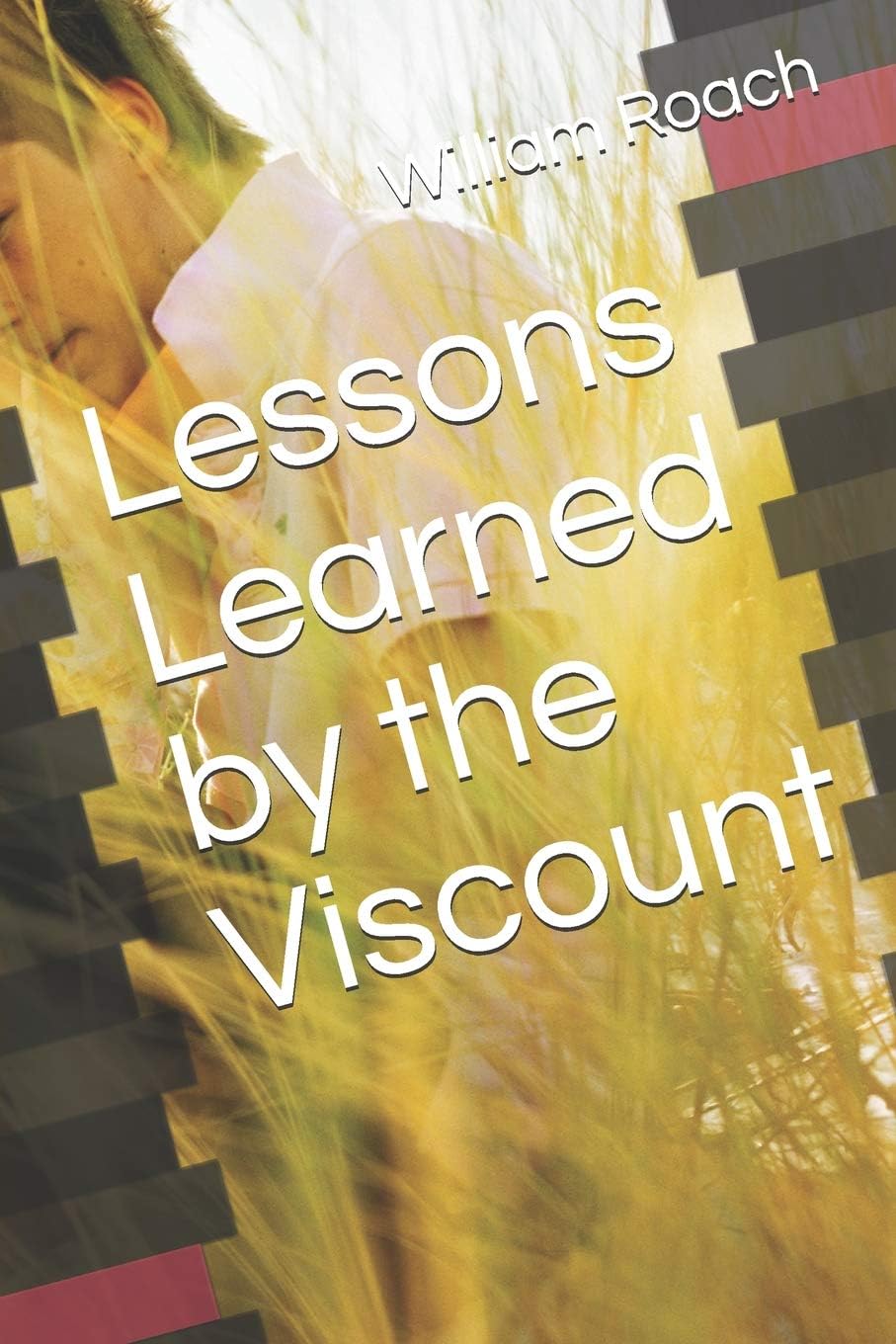 Lessons Learned by the Viscount (The Blakely's)