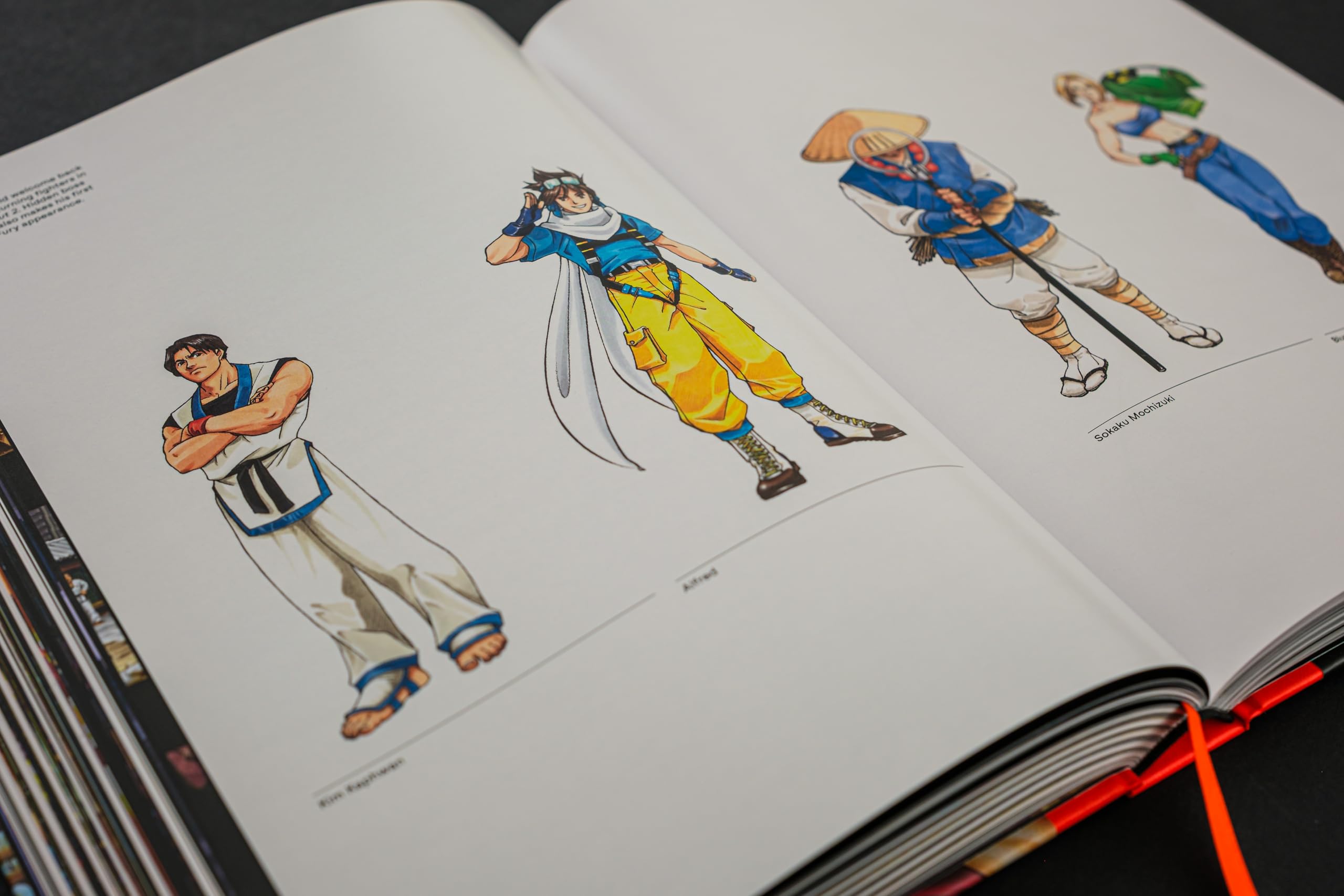 Fatal Fury/Garou Densetsu: The Ultimate History