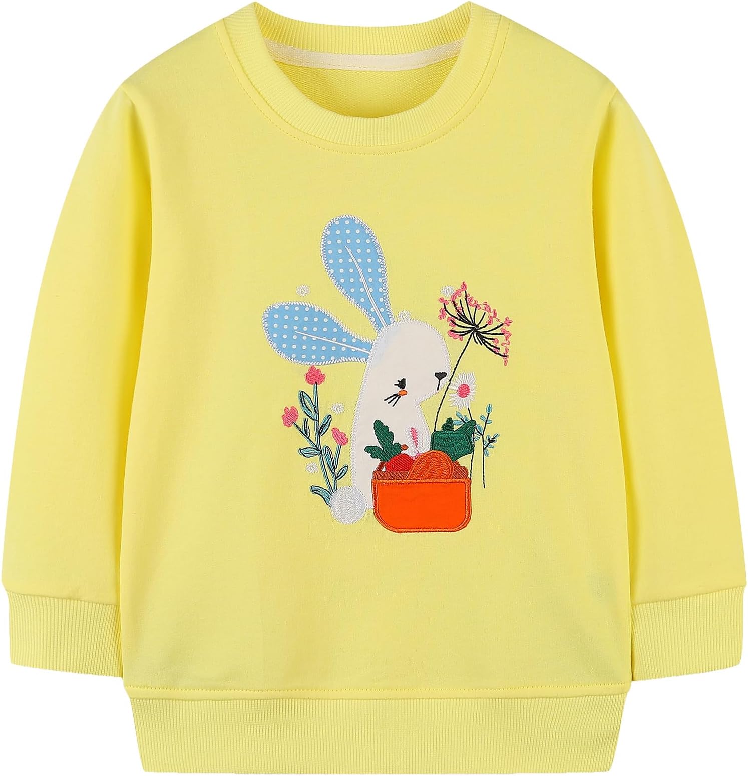 TEDDGirls Sweatshirt for Kids Cotton Top Casual Jumper Girl T Shirt Toddler Clothes Long Sleeve Pullover Age 1-12 Years