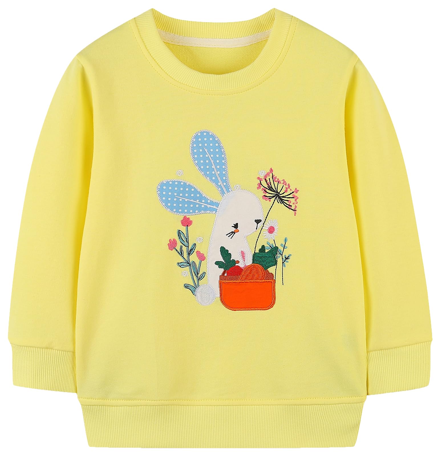 TEDDGirls Sweatshirt for Kids Cotton Top Casual Jumper Girl T Shirt Toddler Clothes Long Sleeve Pullover Age 1-12 Years