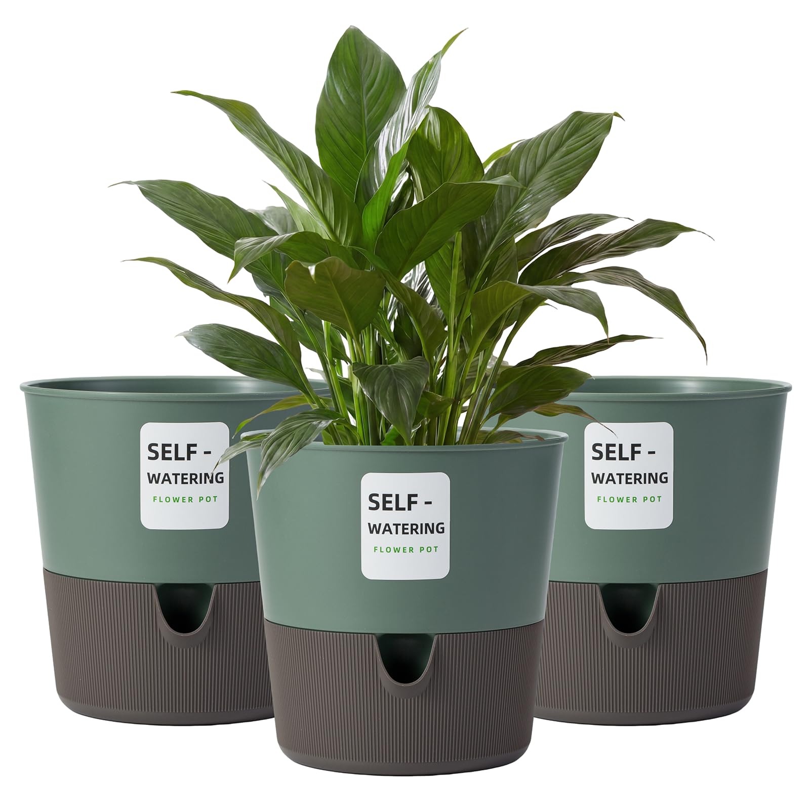 Bamworld 3 Pack Self Watering Pots for Indoor 6.5in Plants Plant Pots Indoor with Drainage Holes Modern Planters for Indoor Plants Room Office Décor(Green)