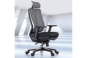 Odinlake Ergo Plus - Ergonomic Mesh Office Desk Chair