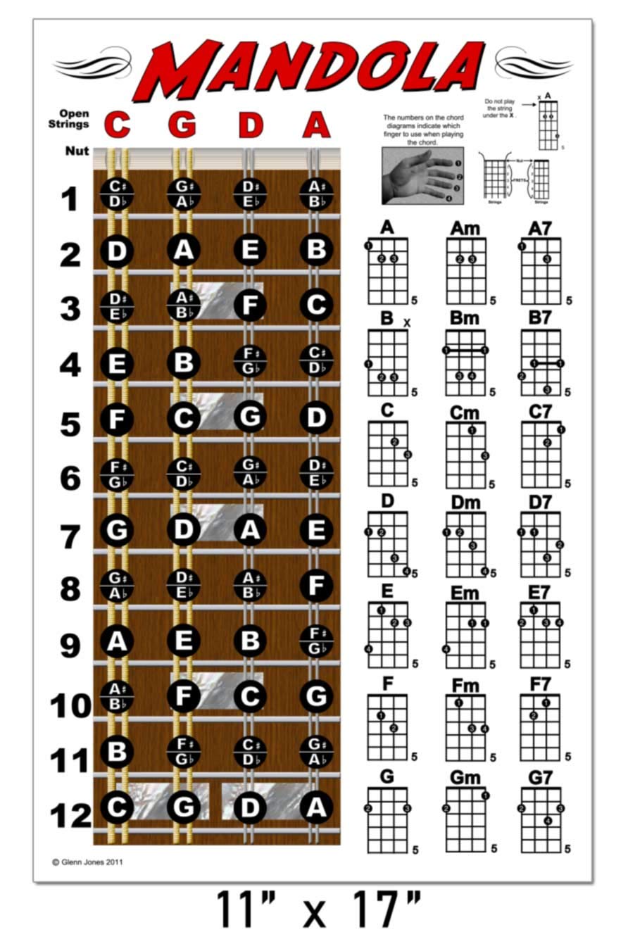 Buy Mandola Fretboard and Chord Chart Instructional 11x17 Online at ...