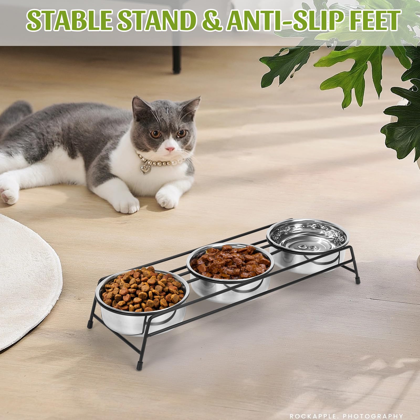 Lot de 3 gamelles surélevées en acier inoxydable pour chats, chiots, lapins