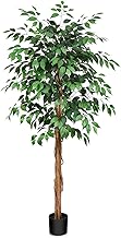 SOGUYI 6ft Ficus Artificial Trees with Realistic Leaves and Natural Trunk, Silk Fake Ficus Tree with Plastic Nursery Pot, Faux Ficus Tree for Office Home Farmhouse for Indoor Outdoor Decor(Set of 1)