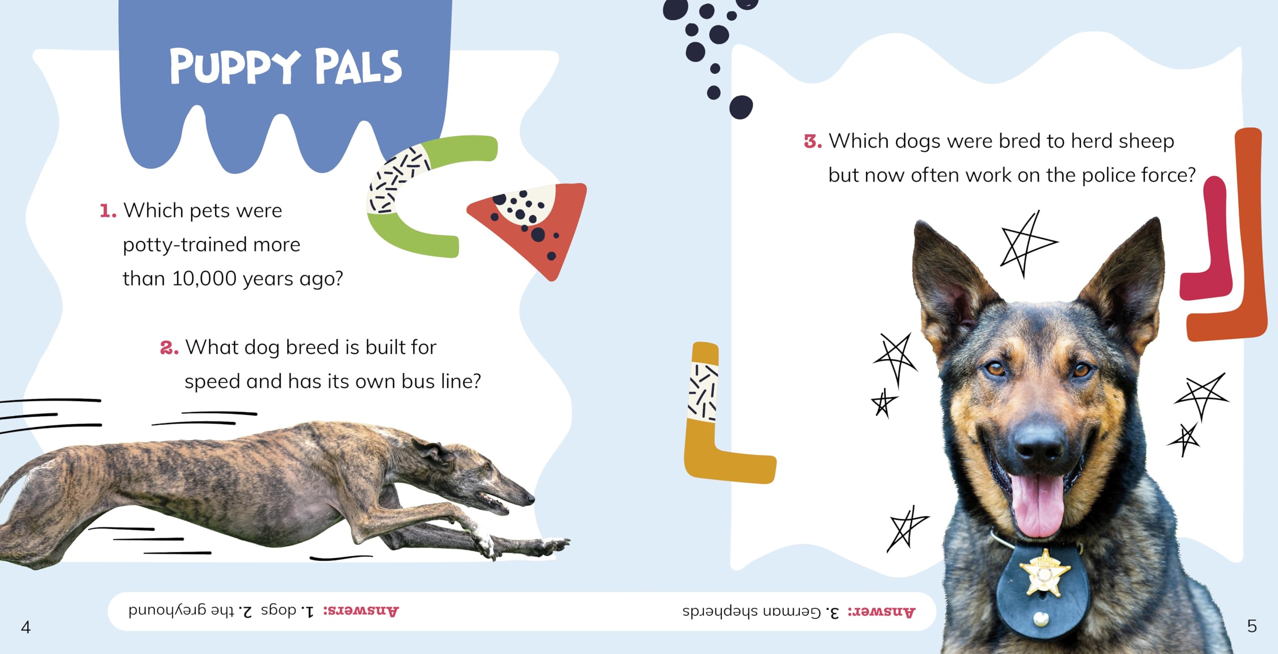 What Do You Know about Pets?