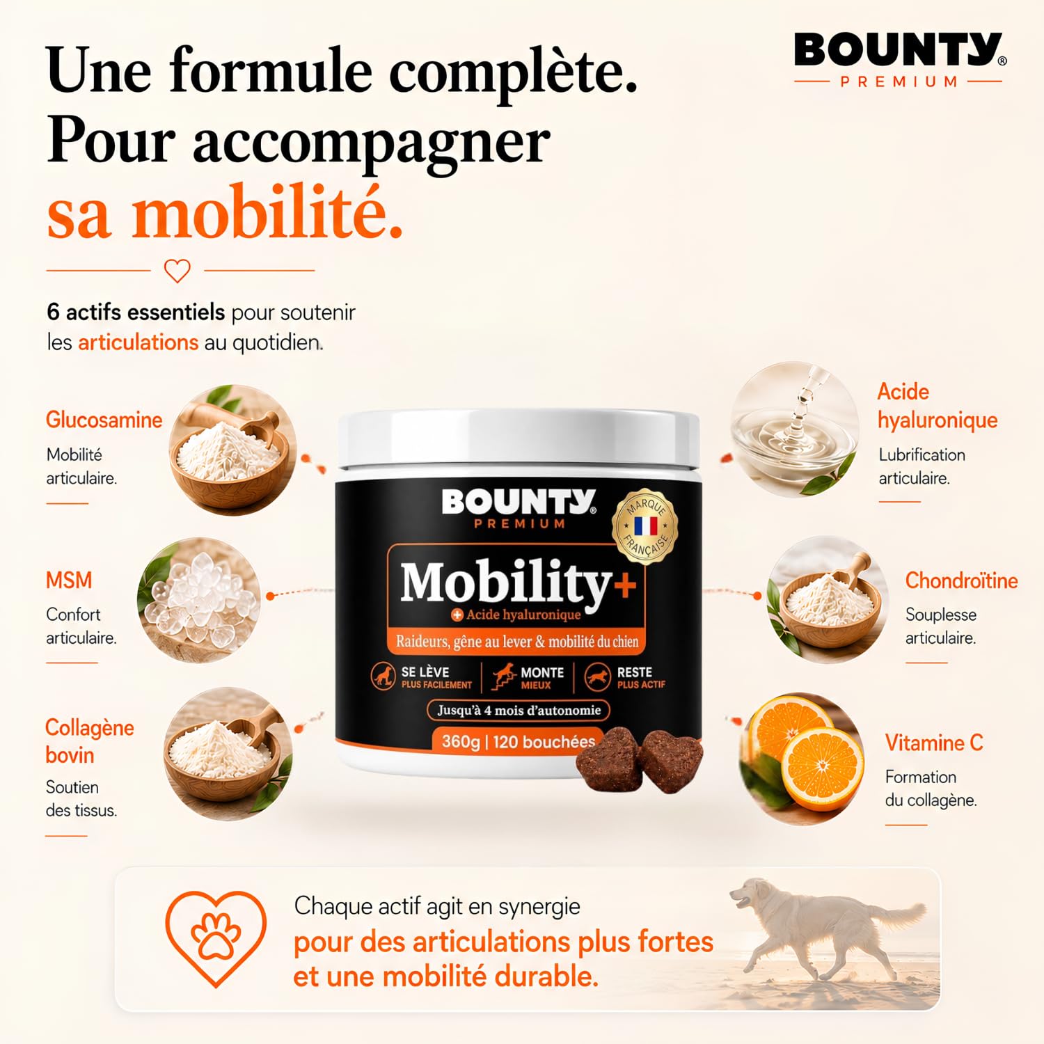 Mobility+ Complément Articulaire Chien – Arthrose & Douleurs Articulaires – 7 Actifs : Glucosamine, Chondroïtine, Collagène, Acide Hyaluronique, MSM – Senior & Grande Race – 120 Bouchées