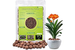 Premium 10LB Leca Clay Pebbles for Plants | 100% Natural Hydroton Leca...