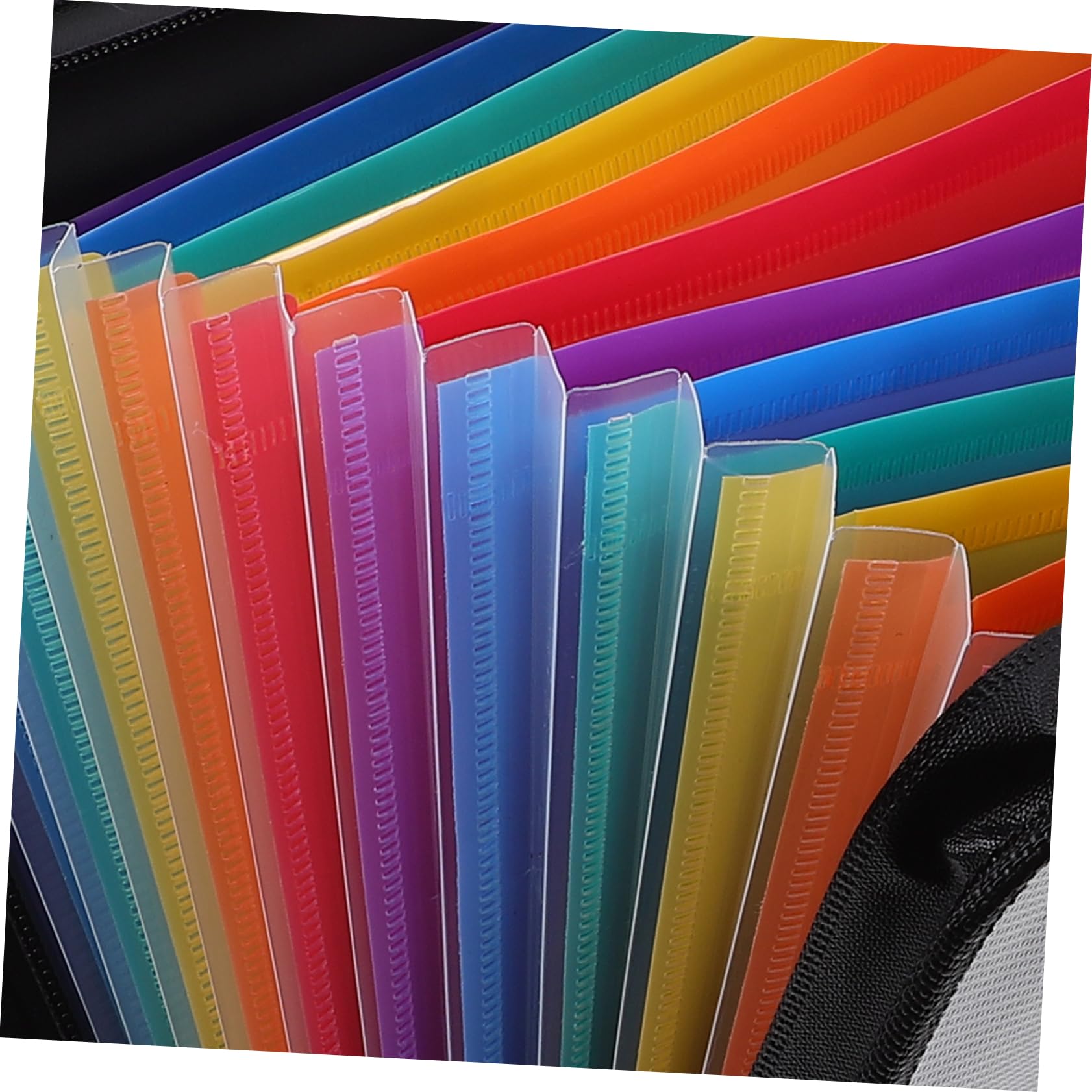 Cartella Portadocumenti a Fisarmonica 12 Tasche in Pp Nero | Formato A4, Capienza Ampia, Chiusura con Zip, Etichette Colorate per Ricevute e Bollette