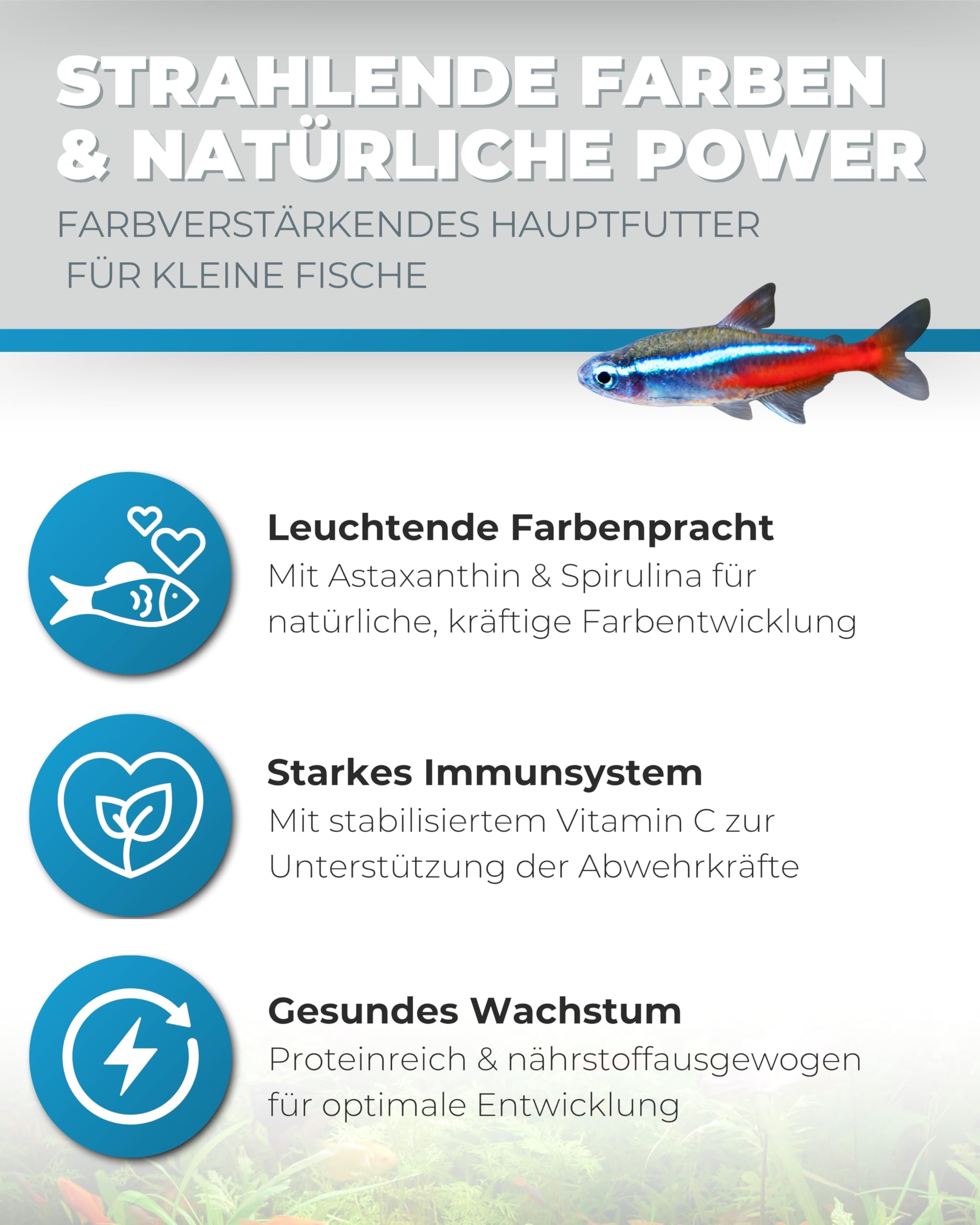 Dupla DuplaRin Granulat Colour S I 500 g I farbverstärkendes Granulatfutter für kleine Süß- und Meerwasserfische I Zierfischfutter für Intensive Farben & gutes Wachstum I nährstoffreiches Fischfutter