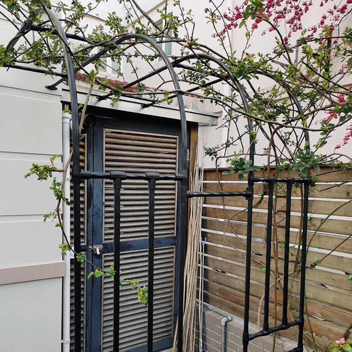 Arco da giardino per rose rampicanti, pergolato in metallo, resistente alle intemperie, pergolato regolabile in altezza 90 300 cm, perfetto per matrimoni e decorazioni per esterni (nero, 270 x 270 cm)
