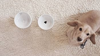 レゴ風犬用食器セット 犬用 脚付フードボウル S | 猫壱（necoichi）