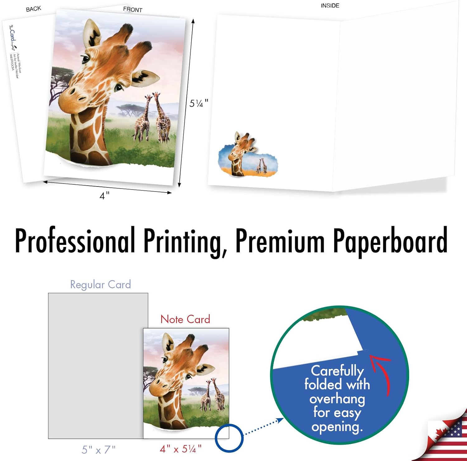 The Best Card Company 20 Assorted Blank Note Cards Boxed Set 4 x 5.12 w/Envelopes For Men, Women (10x2 Designs) Animal Windows AM8590OCB-B2x10 - Image 3