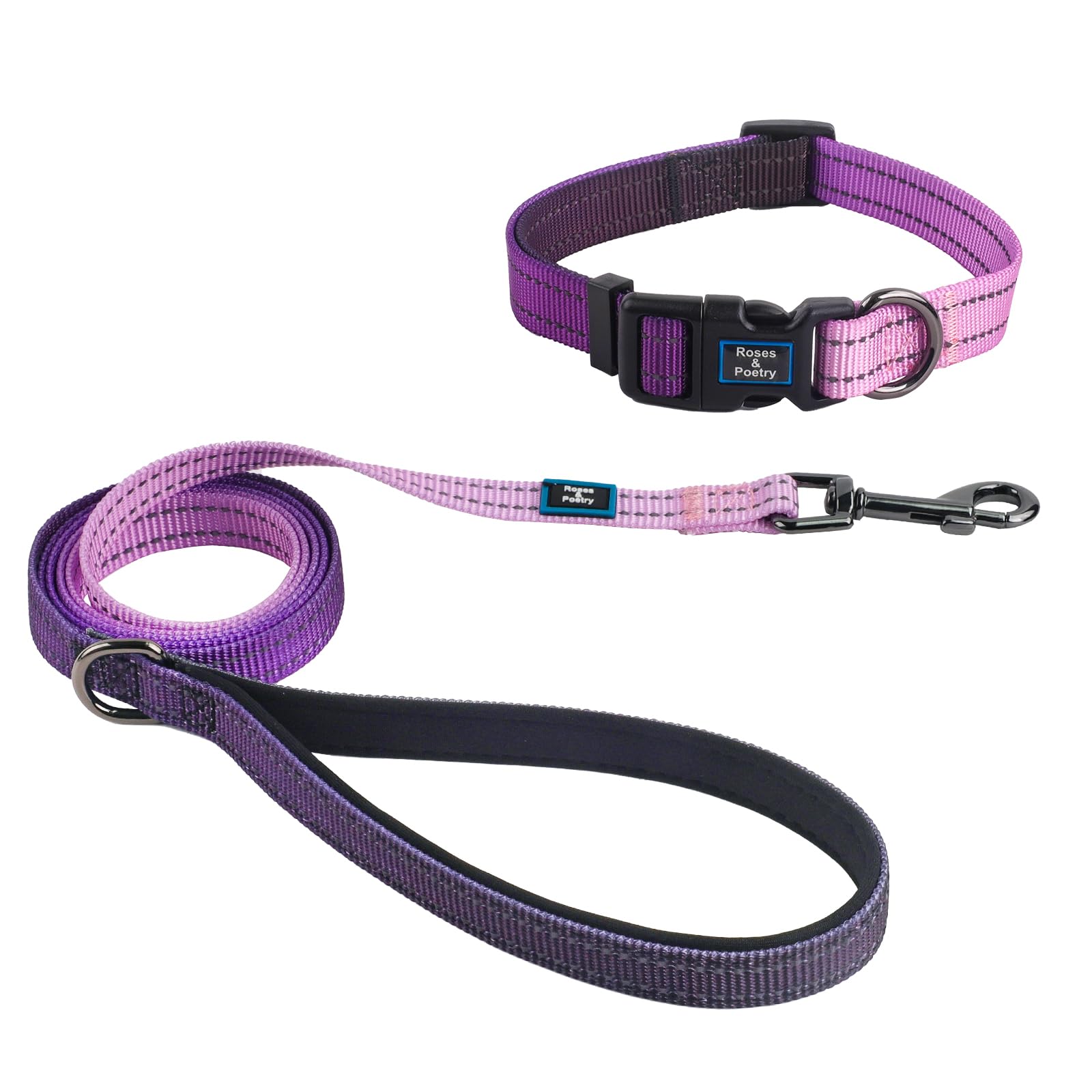 Laisse et collier réfléchissant petit chien balade nocturne