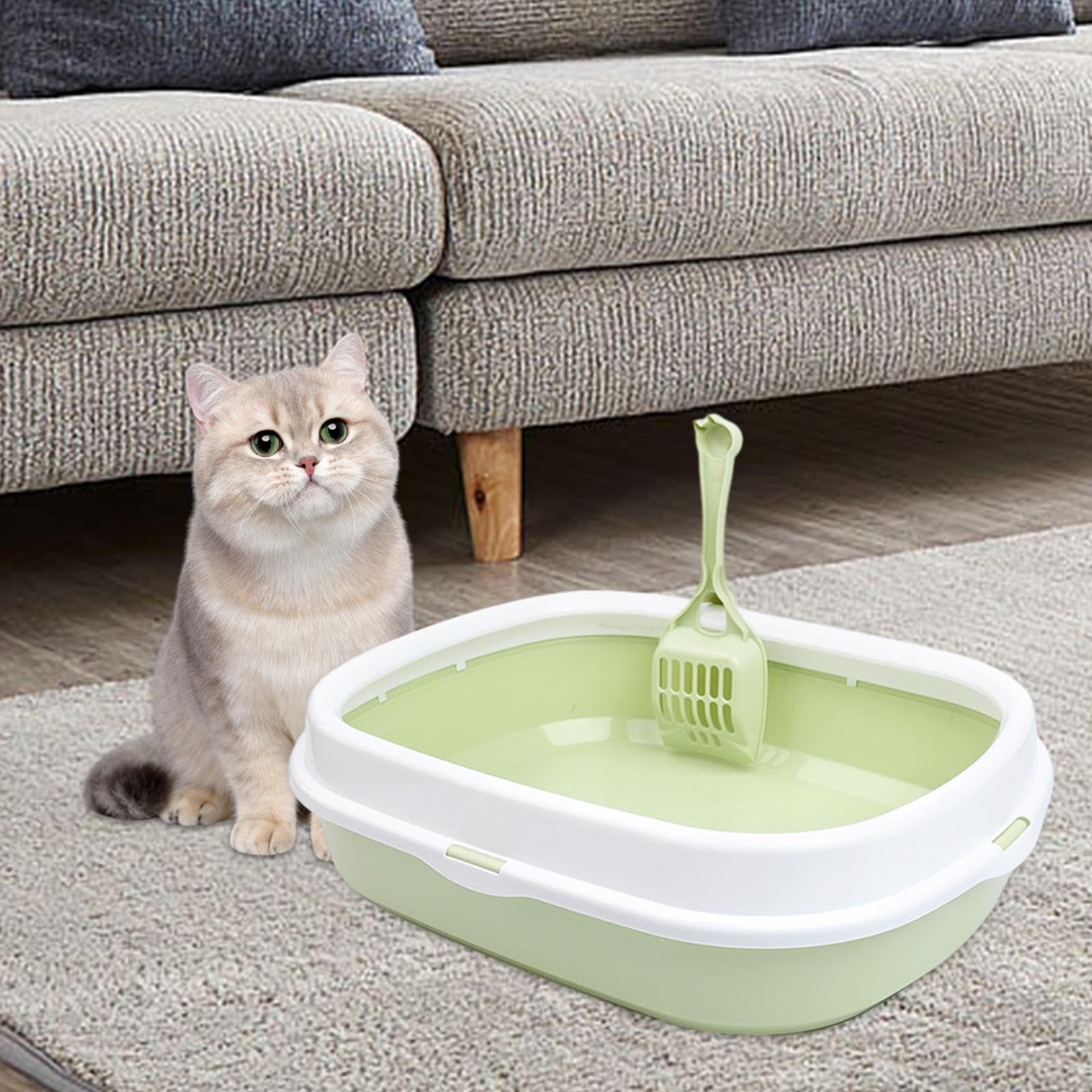 Lettaia, Lettiera for Gatti Toilette for Contenitore for lettiera for(Fruit Green)