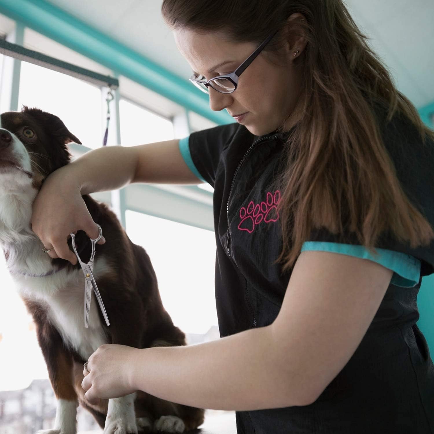 Dream Reach Dog Grooming Scissors - 7" Thinning Scissors, Texturing, Mixing and Layering for Dogs, Cats and Other Pets - Japanese 440C Stainless Steel 6