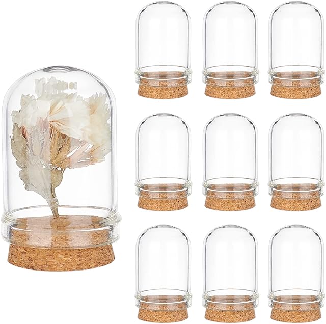 PandaHall 10pcs Cloche Bell Jar, Glass Display Dome with Cork Base Mini Glass Dome Decorative Cloche Display Case for Flower Snad Storage Home Party Favor Decoration, 2.2x3.6cm/0.86x1.4inch