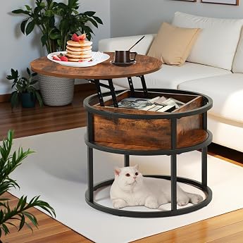 Round Coffee Table with Lifting Plate Side Table Height Adjustable with Storage Space 60 x 60 x 48 cm - 62 cm Small Living Room Table Coffee Table