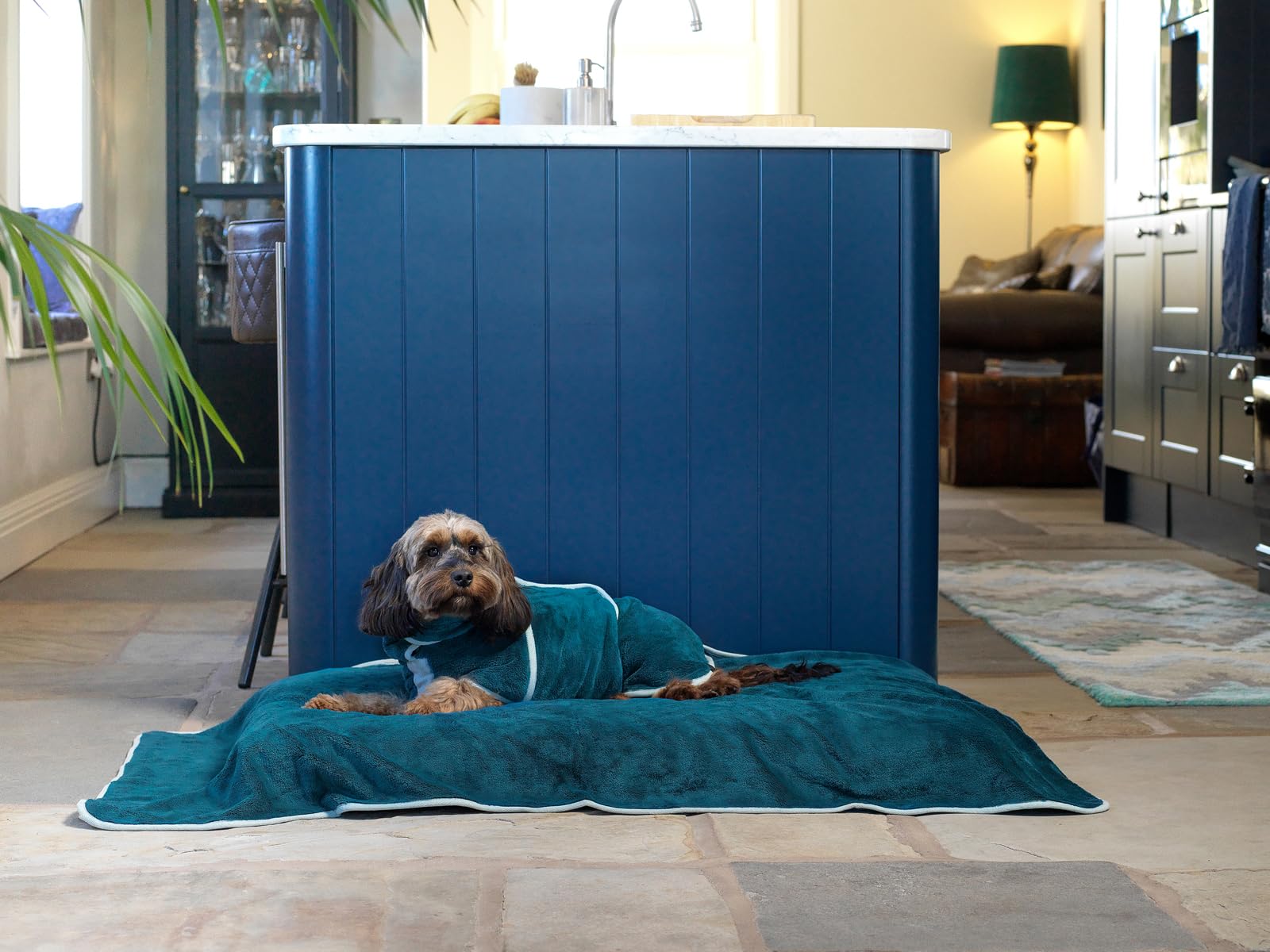 Lucky Paws® Koc dla psa, bardzo gruby, 600 g/m², bardzo duży, 140 x 80 cm, sprzedawca z siedzibą w Wielkiej Brytanii, super chłonny ręcznik z mikrofibry, super miękki, luksusowe ręczniki/koce dla