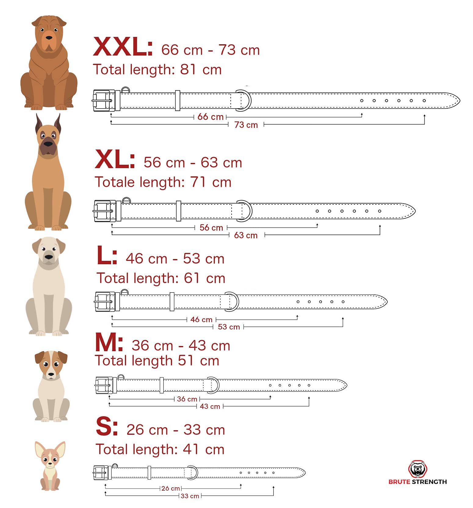 Brute Strength - Lujoso Collar de Cuero para Perros - Marrón - XXL - (66-73) x 3,5 cm