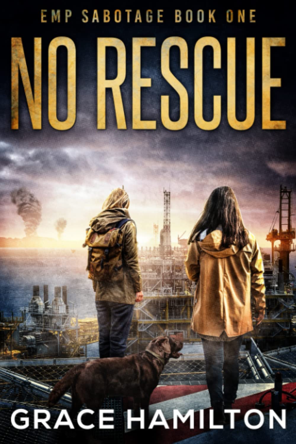 Cover of No Rescue