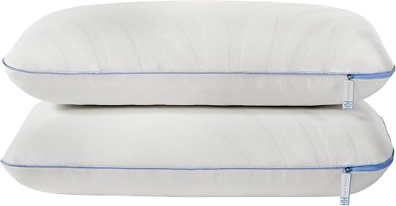 Sealy Dreamlife Queen Size Memory Foam Cooling Pillow with Surface Guard Technology, Removable Machine-Washable Cover, White (2 Pack)