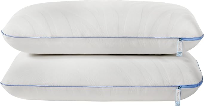 Sealy Dreamlife Queen Size Memory Foam Cooling Pillow with Surface Guard Technology, Removable Machine-Washable Cover, White (2 Pack)