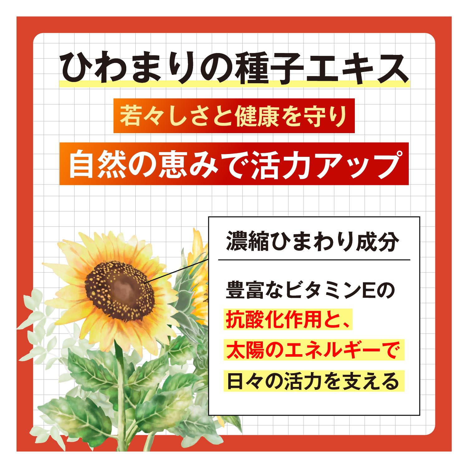 Amazon | ひまわりの力きんいん極 蜂の子 ひまわりの種 ラフマ GABA