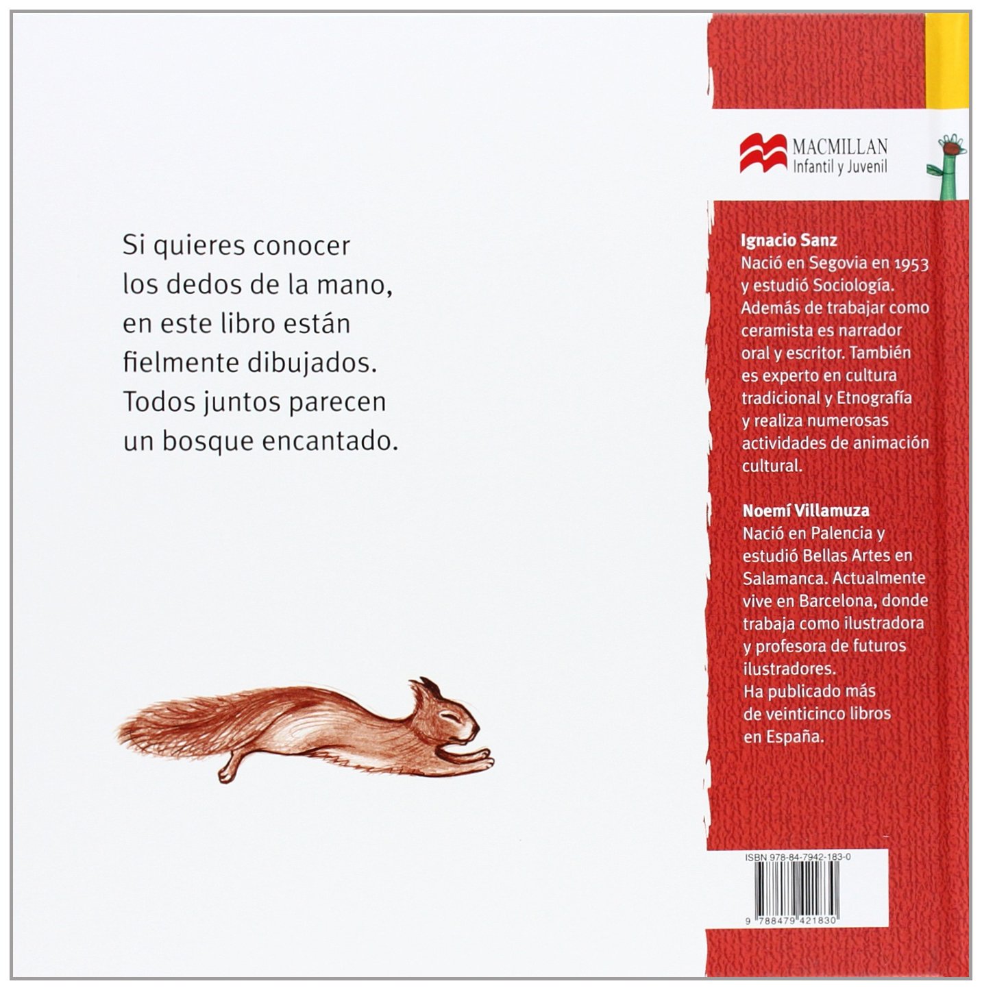 El bosque encantado (Librosaurio/ Bookosaurus)